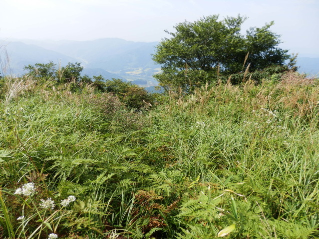 金峰山（山口790m）_f0219710_07200094.jpg