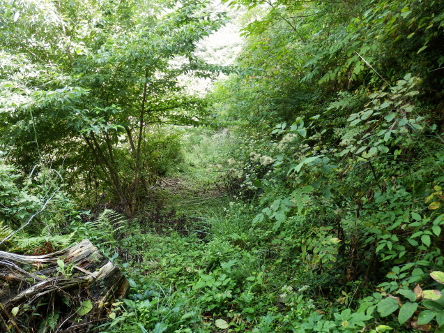 f0219710_07295015.jpg