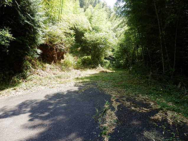 f0219710_07321186.jpg