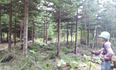 c0173813_22440073.jpg