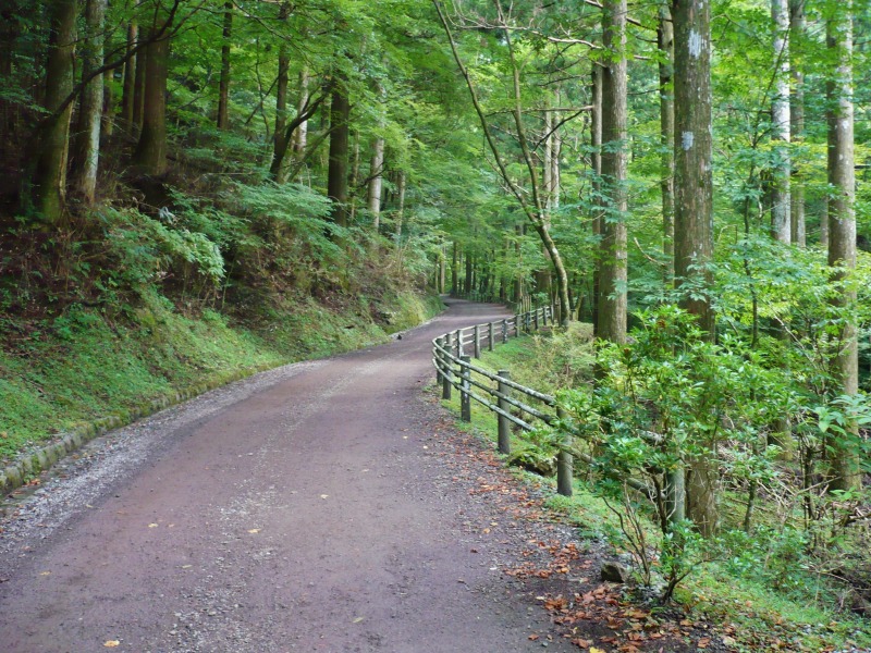 f0182513_185876.jpg