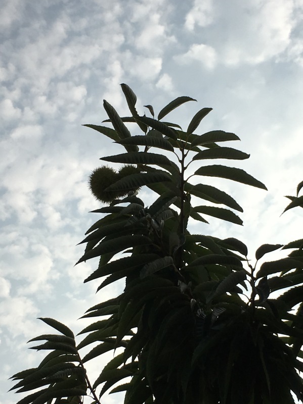 f0371014_06053101.jpeg
