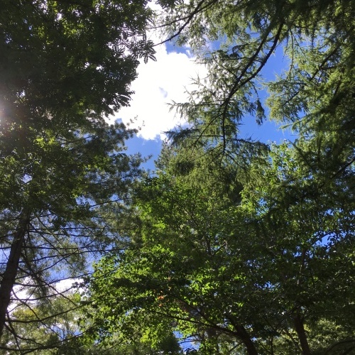 c0131818_14055879.jpeg