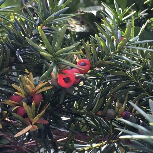 c0131818_14072737.jpeg