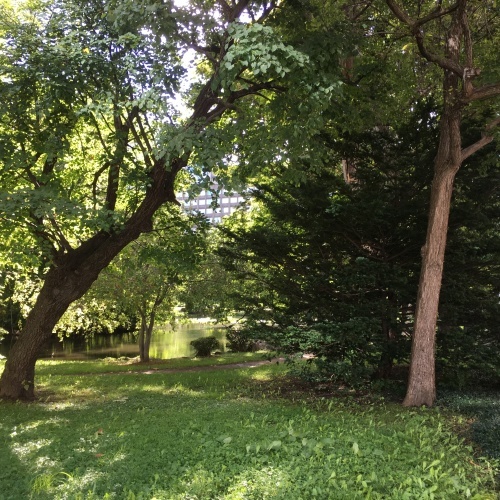 c0131818_14440247.jpeg
