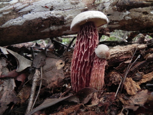 e0352220_23241200.jpg