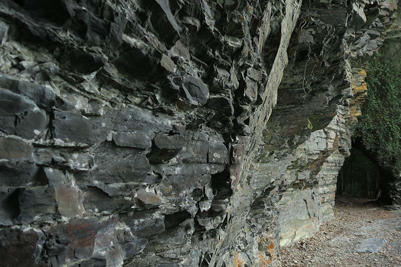 b0356221_21254797.jpg