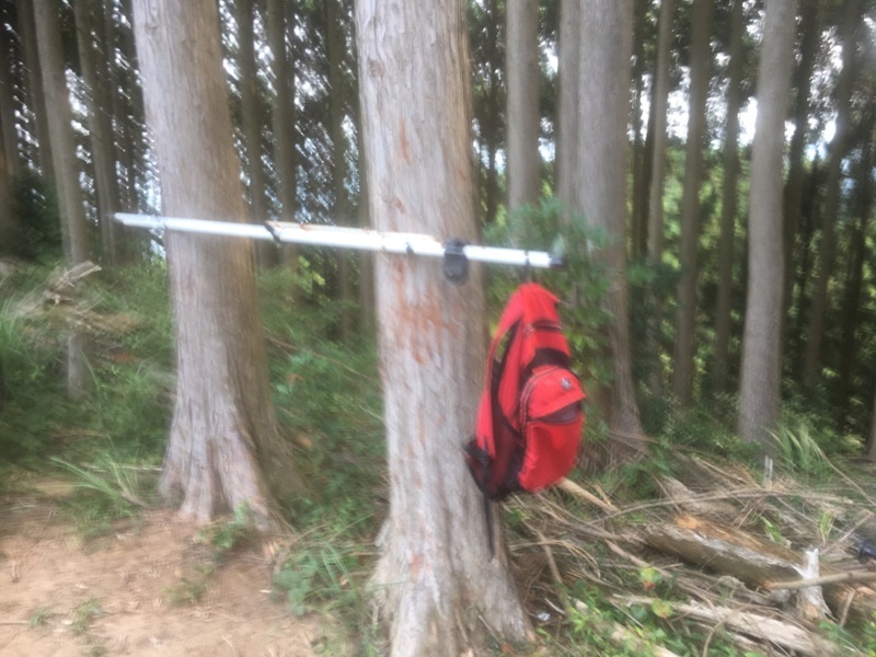 d0222526_11325306.jpeg