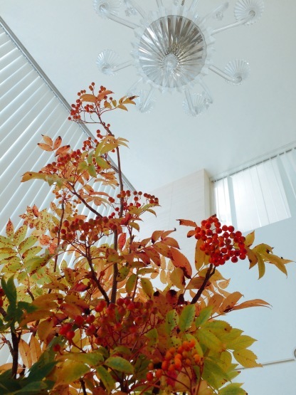 a0330332_20154954.jpeg