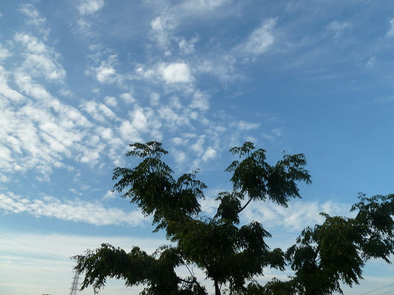 b0247739_446914.jpg
