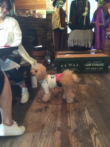 b0369239_09030107.jpeg