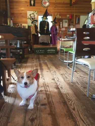b0369239_09032975.jpeg