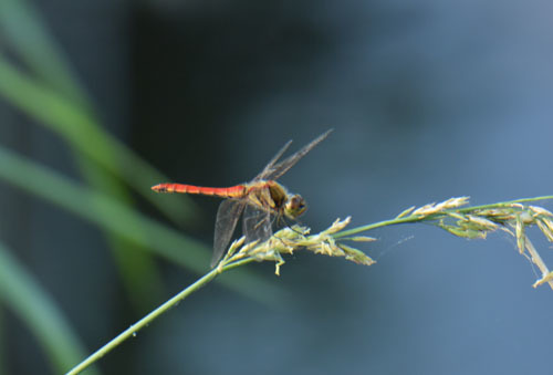 f0206939_09061280.jpg