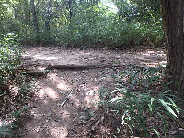 f0334143_9114228.jpg