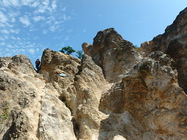 須磨アルプス　離宮公園_f0334143_912039.jpg