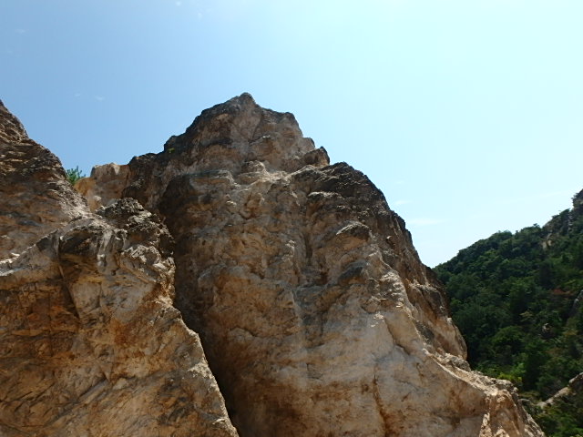 f0334143_912125.jpg
