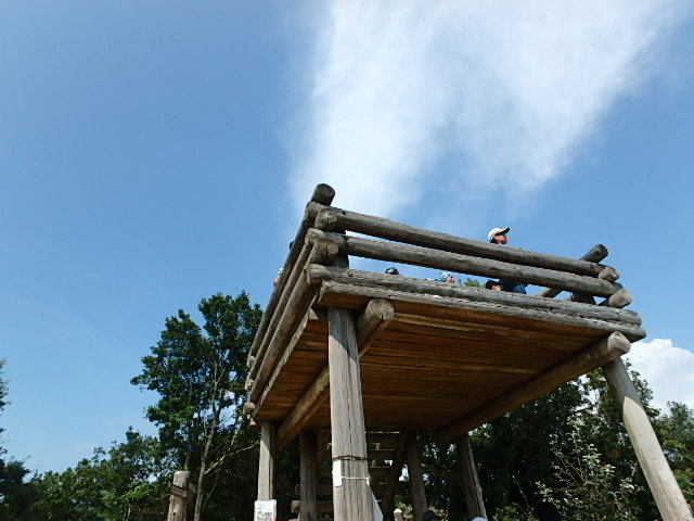 f0334143_9155239.jpg
