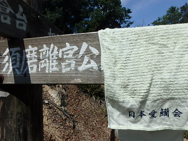 f0334143_9162523.jpg