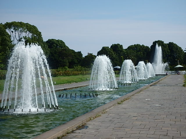 須磨アルプス　離宮公園_f0334143_9174422.jpg