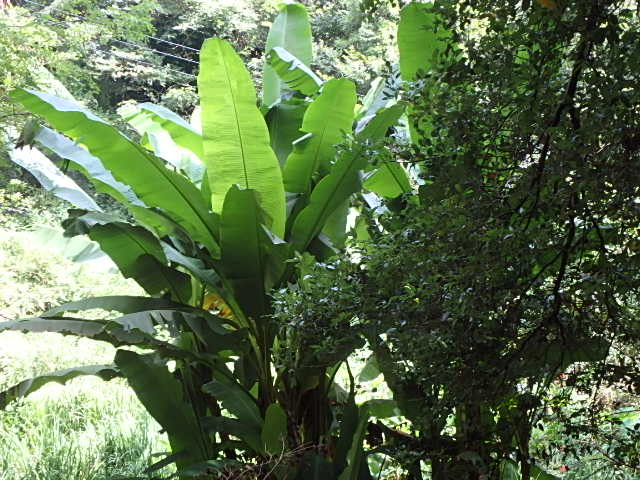 f0334143_98032.jpg