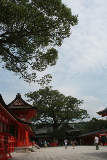 e0343944_16465566.jpg