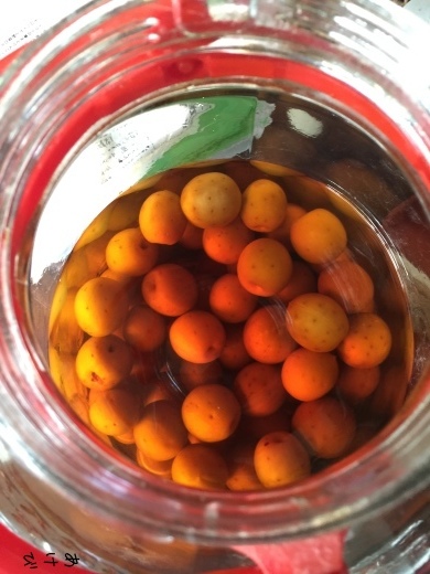 b0346851_18510077.jpeg