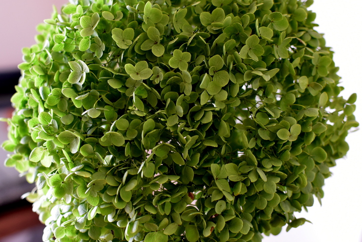 f0363156_1740745.jpg