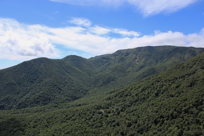 e0239458_22495519.jpg