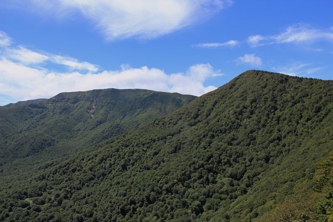 e0239458_22495567.jpg