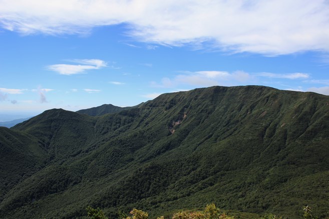 e0239458_22495579.jpg