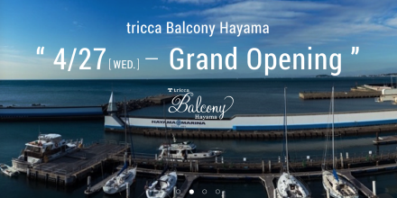 髪のお手入れ Juri Yoga Tricca Balcony 葉山マリーナ いわおの日々ing 夢見る頃がとっくに過ぎ去っても