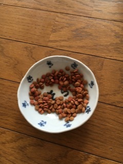 休日らしい1日に_f0363168_08430482.jpeg