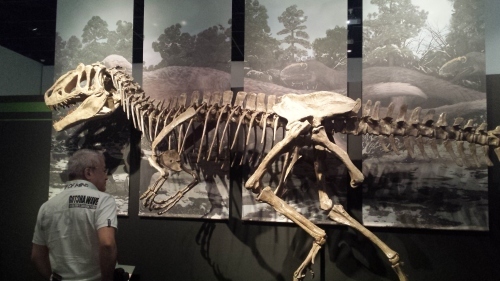 c0311574_11281987.jpg