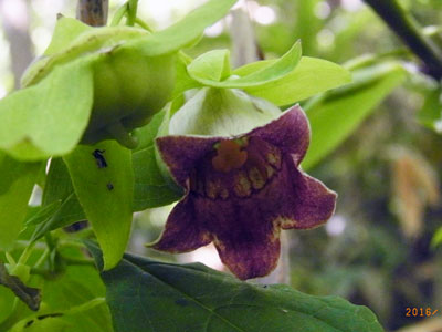 f0083977_21481946.jpg