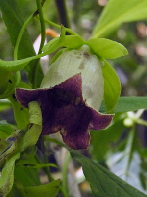 f0083977_21492753.jpg