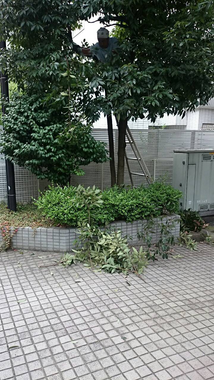 e0254682_11283755.jpg