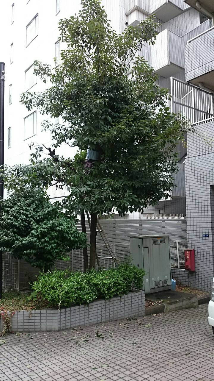 e0254682_11284127.jpg