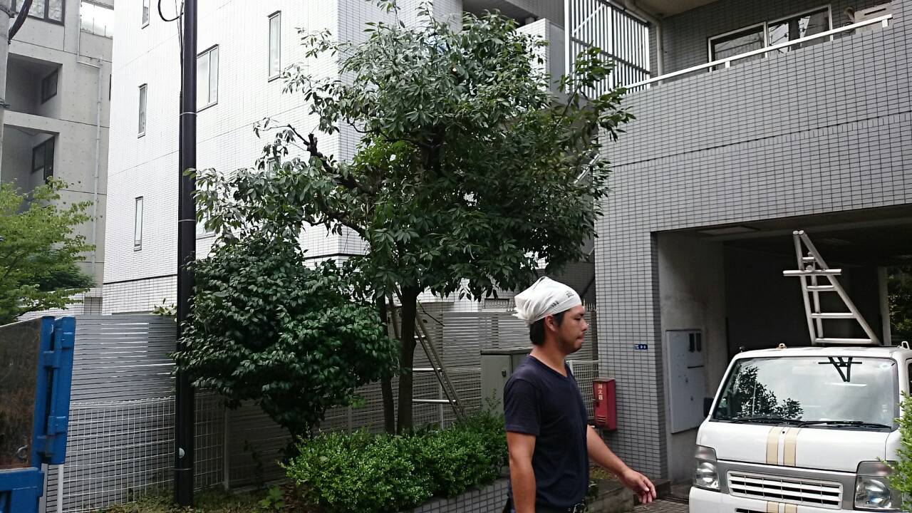 e0254682_11305228.jpg