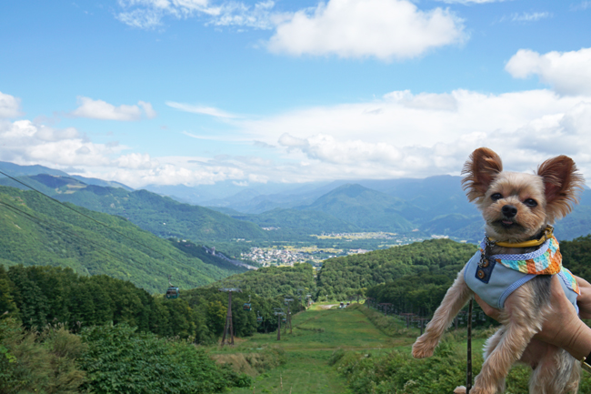 夏休み@白馬 Hakuba47_e0156083_1103640.jpg