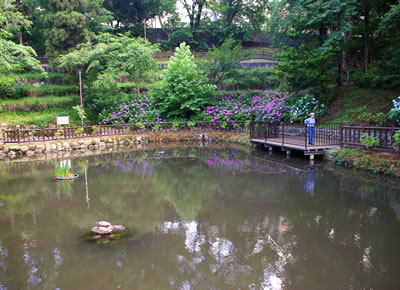 八王子の公園/六本杉公園(前編)_b0123486_16465189.jpg