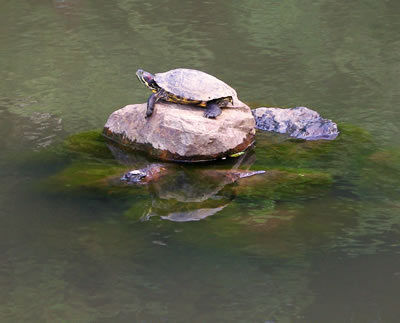 八王子の公園/六本杉公園(前編)_b0123486_16584838.jpg