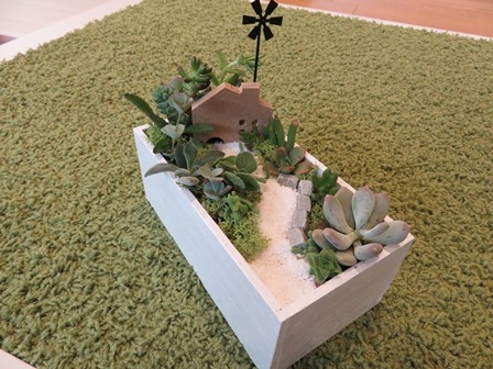 多肉植物の箱庭づくり_a0185789_16205710.jpg