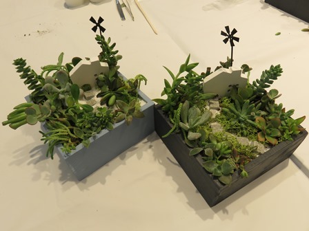 多肉植物の箱庭づくり_a0185789_16211100.jpg