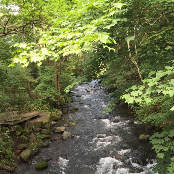 d0153294_13155044.jpg