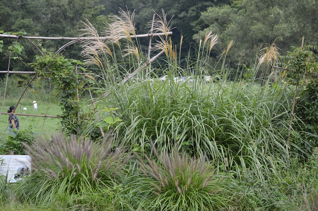 c0124100_0616.jpg