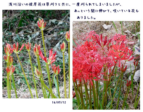 日々の事_c0051105_0264790.jpg