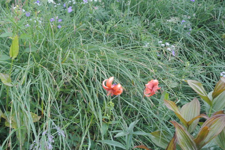 c0242406_13165014.jpg