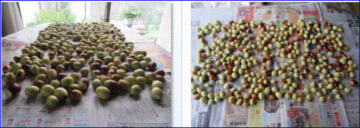 f0231709_22422128.gif