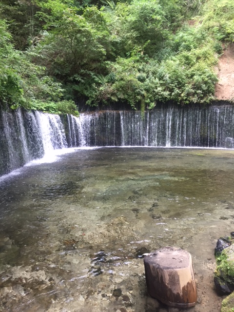 c0113910_1601014.jpg