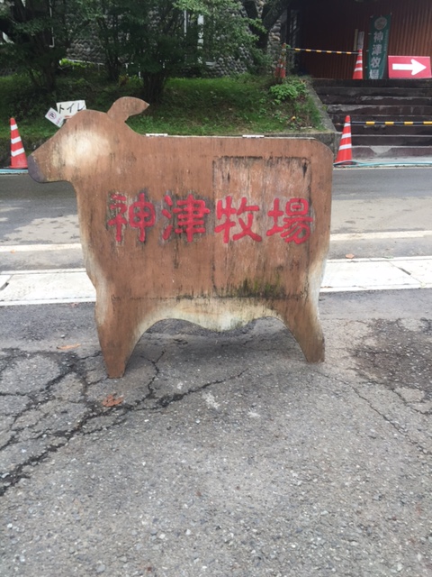 c0113910_161054.jpg